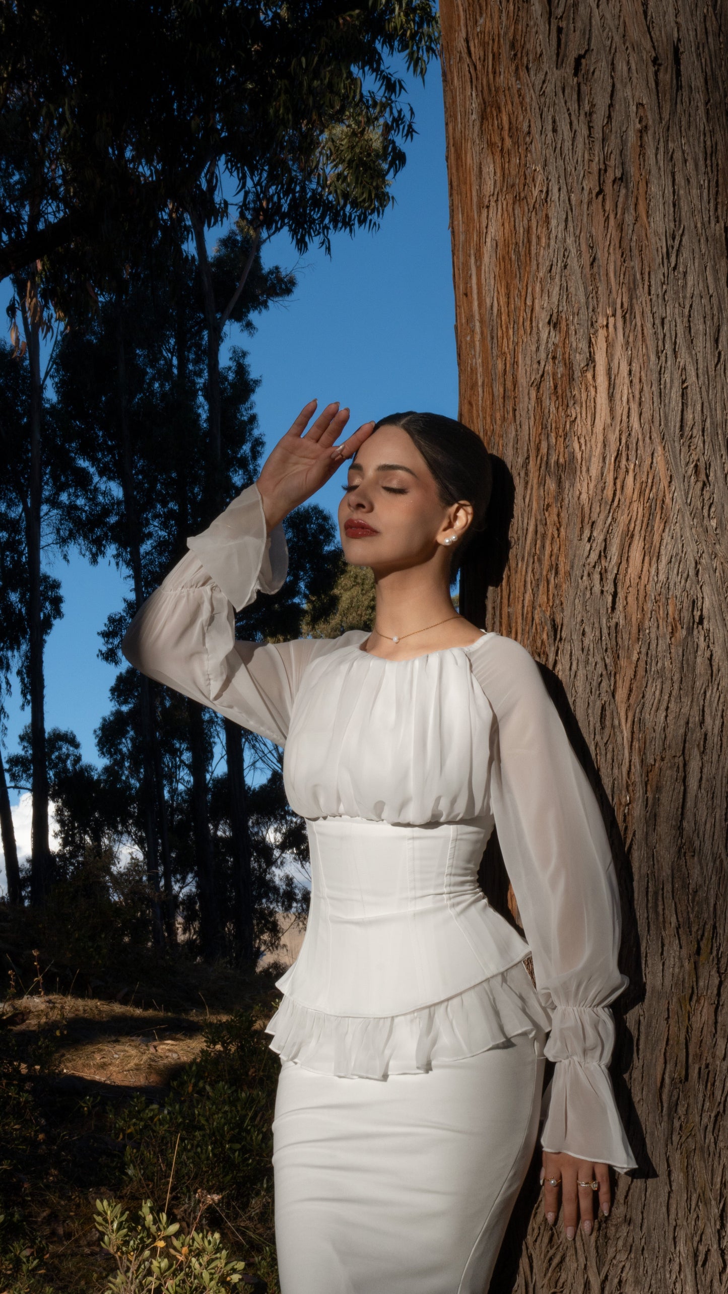Viviane Corset